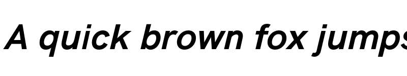 Preview of Acari Sans Bold Italic font