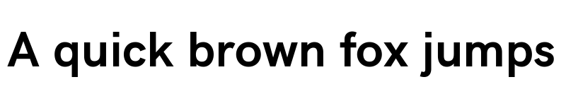 Preview of Acari Sans Bold font