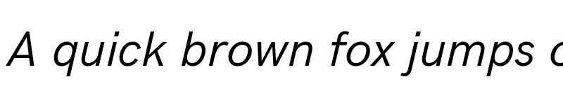 Preview of Acari Sans Italic font