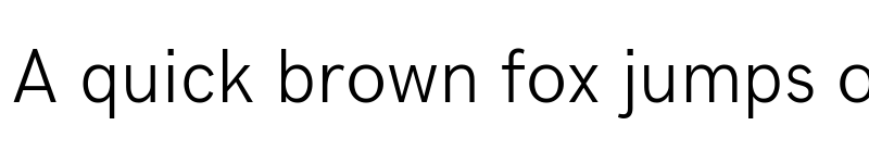 Preview of Acari Sans Light font