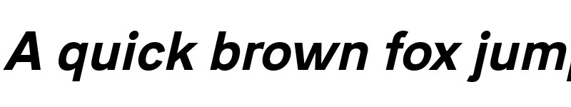Preview of Acari Sans Neue Black Italic font