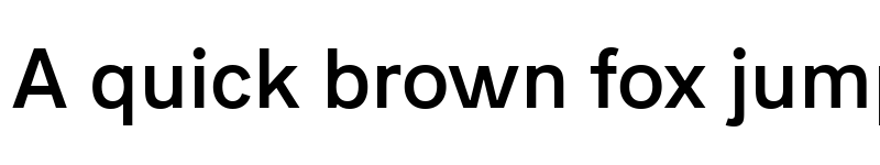 Preview of Acari Sans Neue Bold font