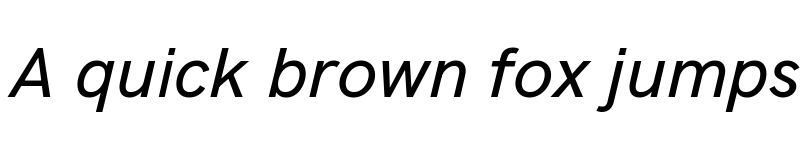 Preview of Acari Sans VF Italic font