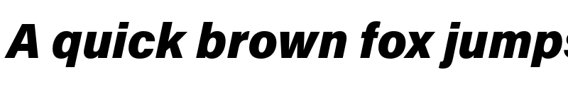 Preview of Acumin Pro Black Italic font