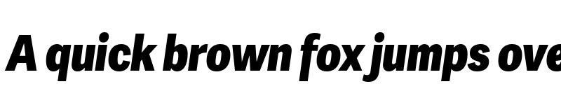 Preview of Adelle Sans Cnd Extrabold Italic font