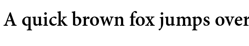 Preview of Adobe Bengali Bold font