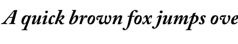 Preview of Adobe Caslon Pro Bold Italic font