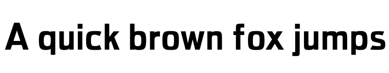 Preview of Adon Extra Bold font