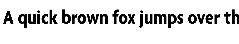 Preview of Agenda BoldCondensed font