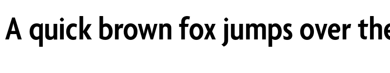 Preview of Agenda SemiboldCondensed font