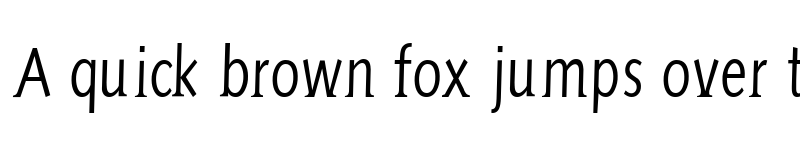 Preview of AidaSerifa-Condensed Regular font