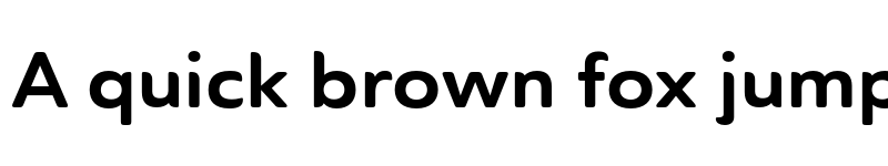 Preview of Ainslie Sans Ext Bold font