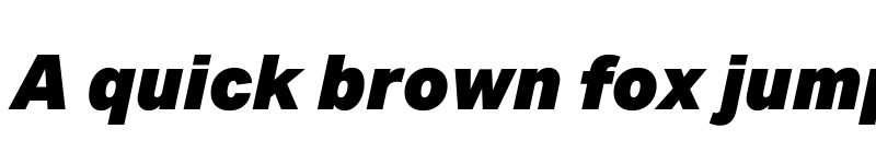 Preview of Aktiv Grotesk Trial Black Italic font