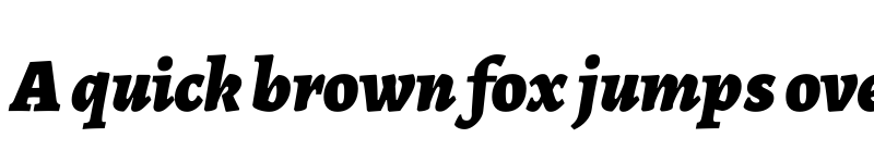 Preview of Alegreya Black Italic font