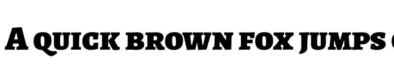 Preview of Alegreya SC Black font