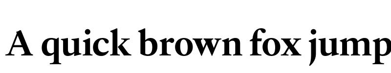 Preview of Allrounder Antiqua Test Bold font