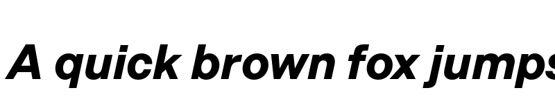 Preview of Allrounder Grotesk Test Extra Bold Italic font