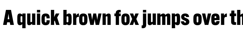 Preview of Alternate Gothic ATF Heavy font