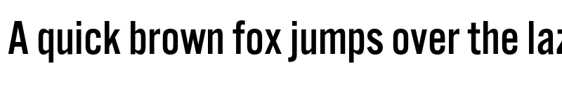 Preview of Alternate Gothic No3 D Regular font