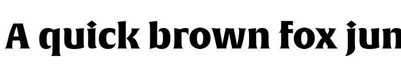 Preview of Alverata Irregular Black font