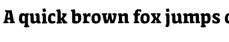 Preview of Amman Serif Pro Bold font