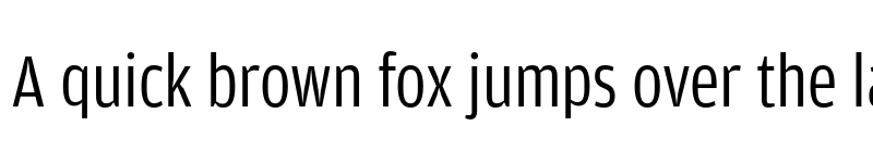 Preview of Amplitude Condensed Book font