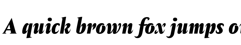 Preview of Amster Black Italic font