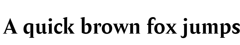 Preview of Amster Bold font