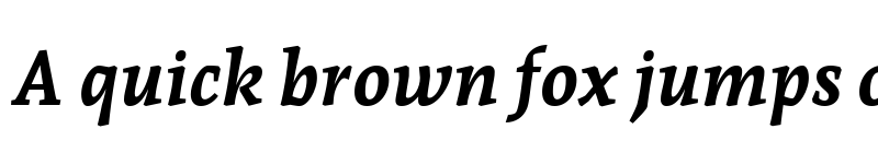 Preview of Andada Pro ExtraBold Italic font