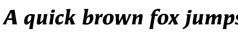 Preview of Angie Pro Black Italic font