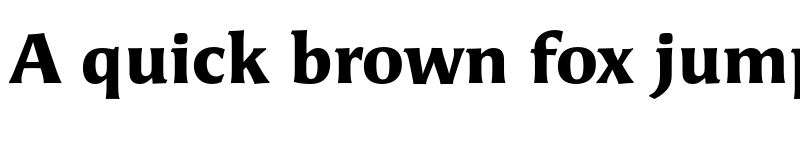 Preview of Angie Pro Black font