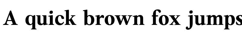 Preview of Anko Personal Use Bold font