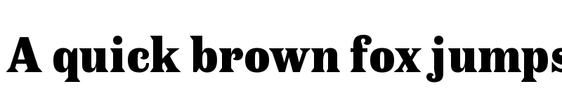 Preview of Antica Black font