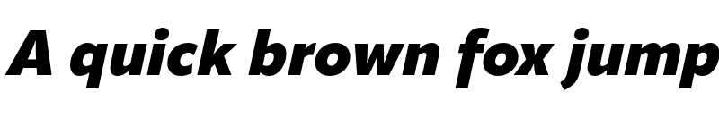 Preview of Apparat Black Italic font