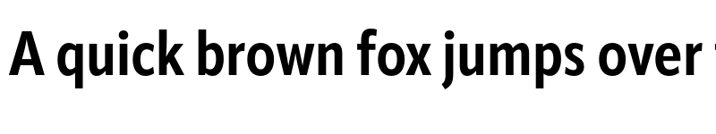 Preview of ApparatCond Bold font