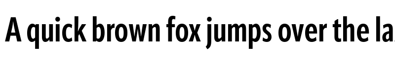 Preview of ApparatExtraCond Bold font