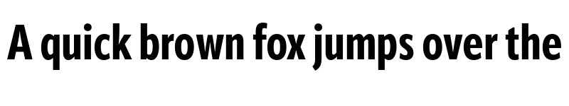 Preview of ApparatExtraCond Extrabold font