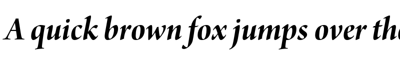 Preview of Arno Pro Display Bold Italic font