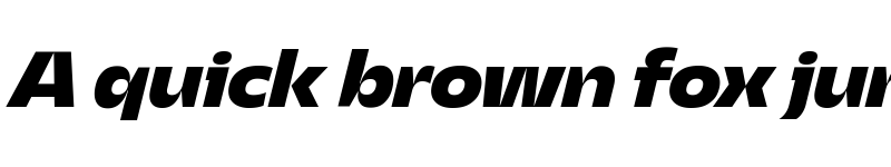 Preview of Asgard Trial Fit Xbold Italic font