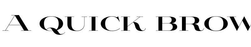 Preview of Aviano Didone Black font