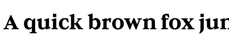 Preview of Baghira Test Bold font