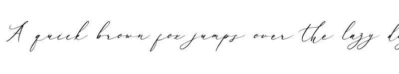 Preview of Baiden Amelie Regular font