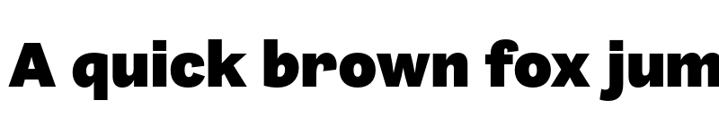 Preview of Barnet Sans Black font