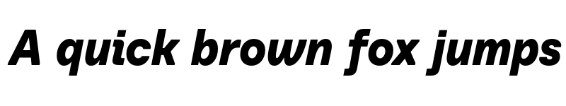 Preview of Baru Sans Demo Black Italic font