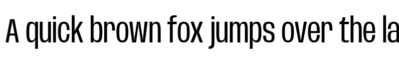 Preview of Base Neue Condensed font