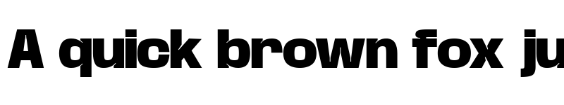 Preview of Base Neue Trial Black font