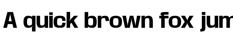 Preview of Base Neue Trial Bold font