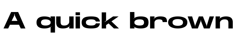 Preview of Base Neue Trial Super Exp Bold font