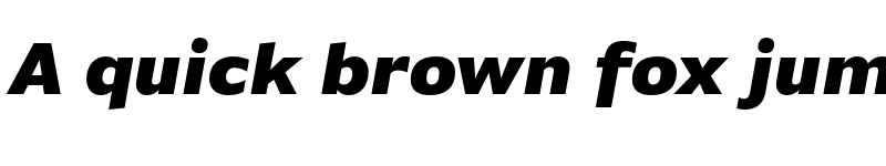 Preview of Basic Gothic Pro Black Italic font