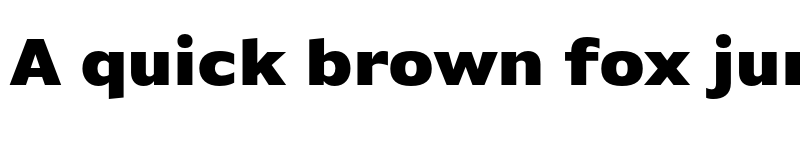 Preview of Basic Gothic Pro Black font